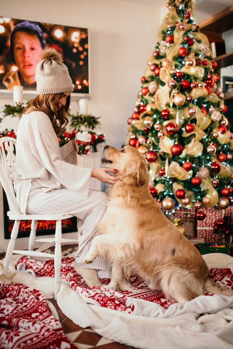 What to get your dog sale for christmas