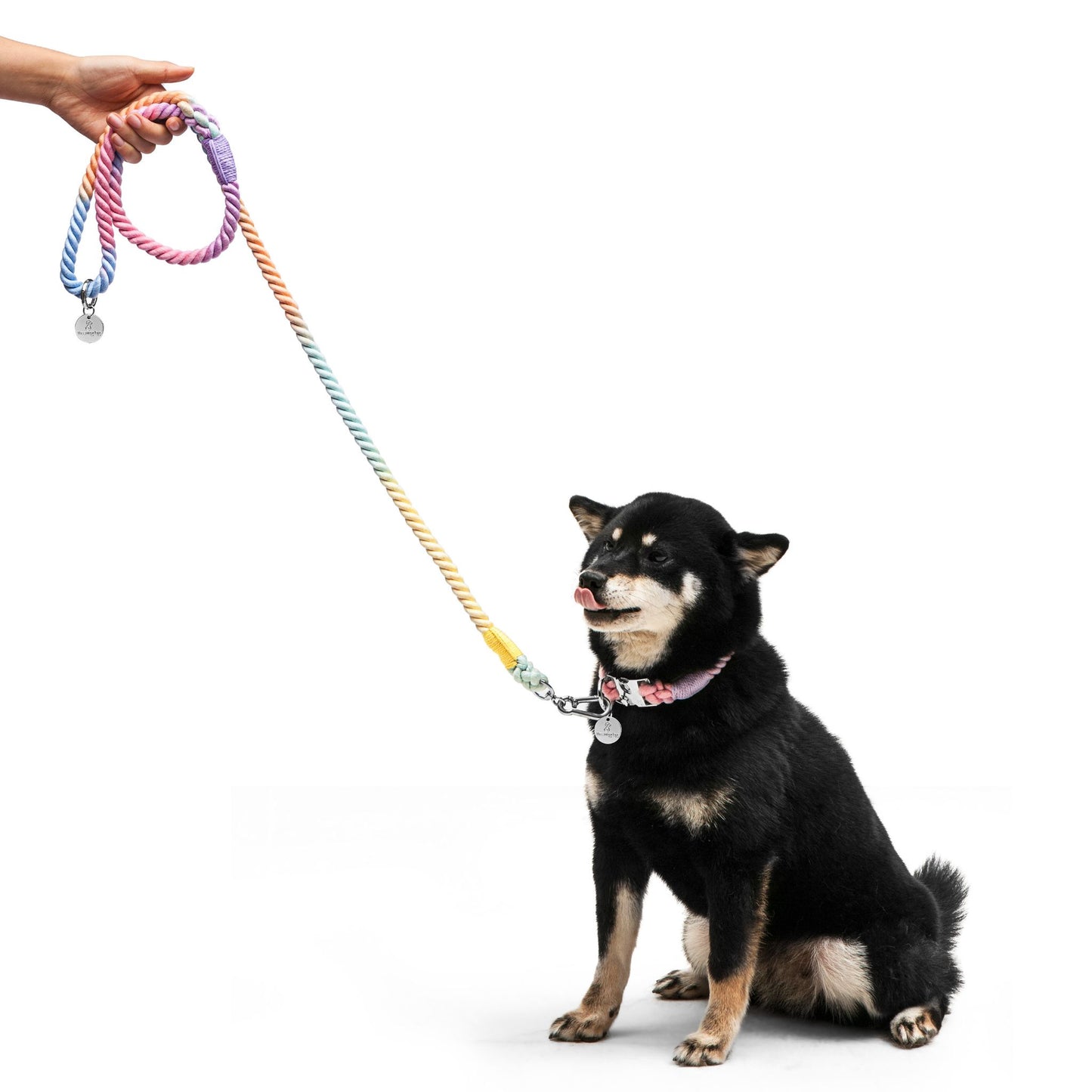 Bling Dog Collar