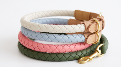 The Maxima Dog Collar Collection