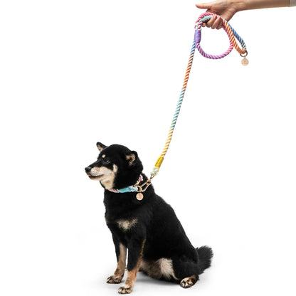 Bling Dog Collar